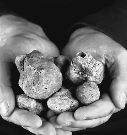 Marsam Bene Vagienna