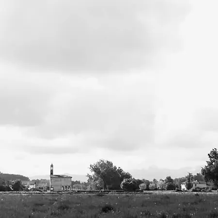 Marsam イン